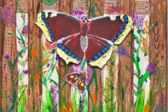 Searching for the eclipsed moth by Rachel Randle