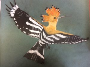 Solomon's Messenger Bird by Michelle Cush