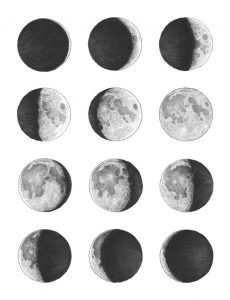 Phases of the Moon by Finn Clark