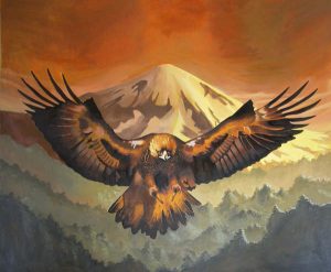 Eagle in flight by Finn Clark
