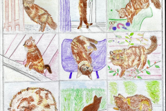 Cat Curves by Rachel Randle