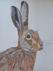 Humphrey by Michelle Cush